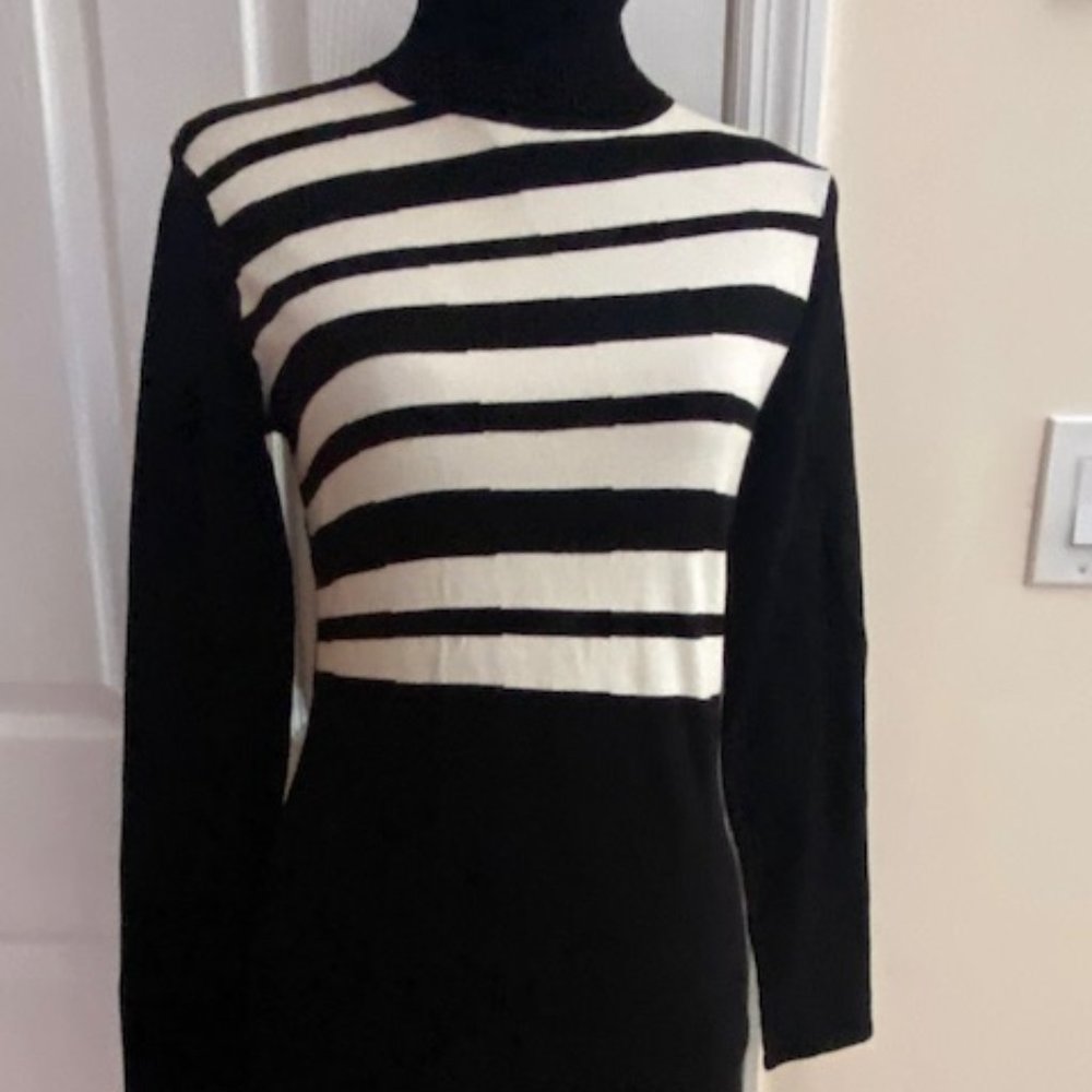 Paris, Yuka Women's Turtleneck dress-sweater  brand new